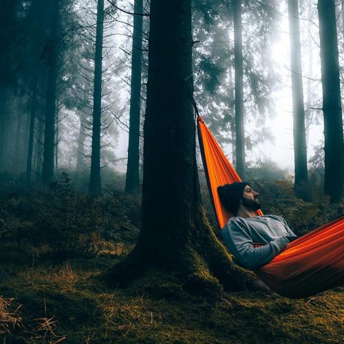 音频全栈开发线路图